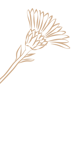 Dekoracja strony - rysunek rośliny