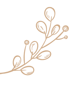 Dekoracja strony - rysunek rośliny