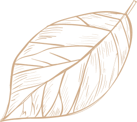 Dekoracja strony - rysunek rośliny