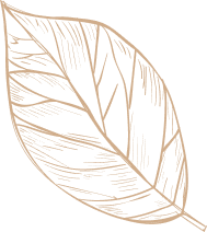 Dekoracja strony - rysunek rośliny