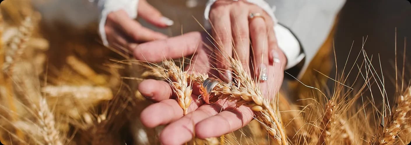 wesela-zdjęcie-główne